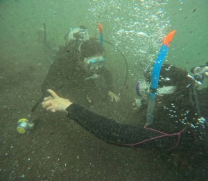 DCIM101GOPROGOPR1631.JPG