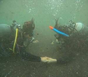 DCIM101GOPROGOPR1635.JPG