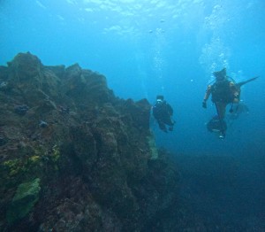 DCIM101GOPROGOPR1661.JPG