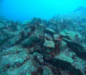 DCIM101GOPROGOPR1662.JPG