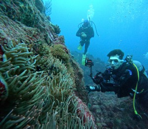 DCIM101GOPROGOPR1664.JPG
