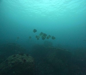 DCIM101GOPROGOPR1668.JPG