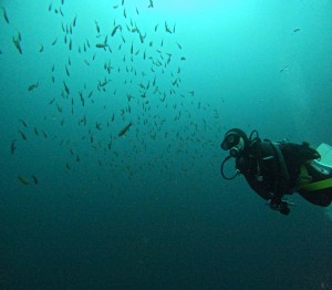 DCIM101GOPROGOPR1679.JPG