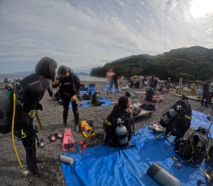 DCIM101GOPROGOPR1684.JPG