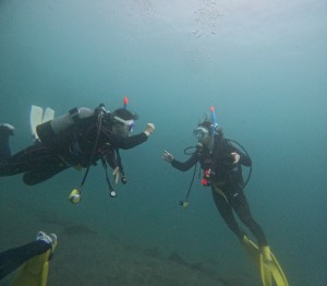 DCIM101GOPROGOPR1714.JPG
