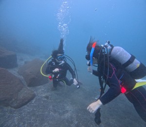 DCIM101GOPROGOPR1716.JPG