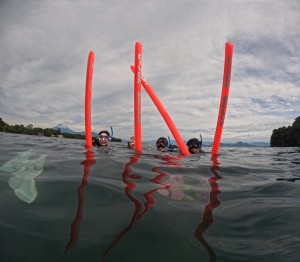 DCIM101GOPROGOPR1729.JPG