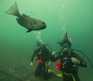 DCIM101GOPROGOPR1759.JPG