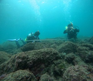 DCIM101GOPROGOPR1816.JPG