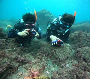 DCIM101GOPROGOPR1821.JPG