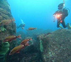 DCIM101GOPROGOPR1844.JPG