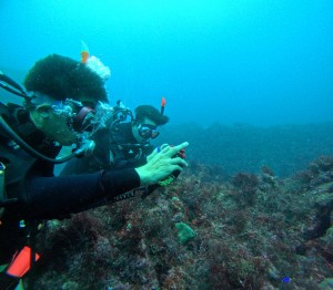 DCIM101GOPROGOPR1848.JPG