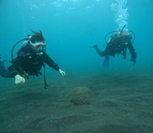 DCIM101GOPROGOPR2237.JPG