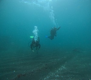 DCIM101GOPROGOPR2252.JPG