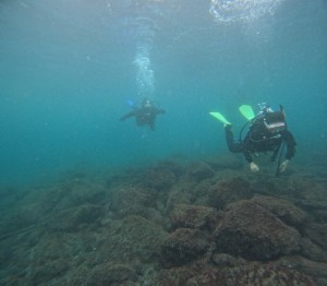 DCIM101GOPROGOPR2255.JPG