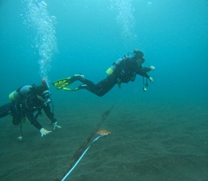 DCIM101GOPROGOPR2281.JPG