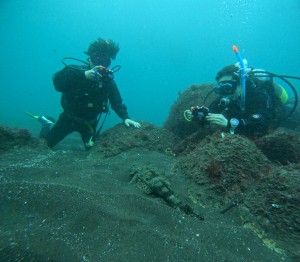 DCIM101GOPROGOPR2305.JPG