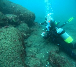 DCIM101GOPROGOPR2310.JPG