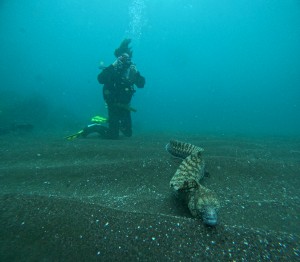 DCIM101GOPROGOPR2315.JPG