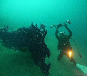 DCIM100GOPROGOPR4802.JPG