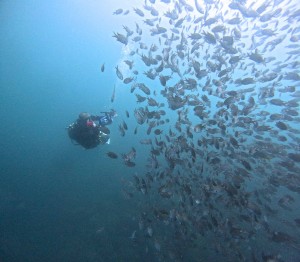 DCIM100GOPROGOPR4806.JPG