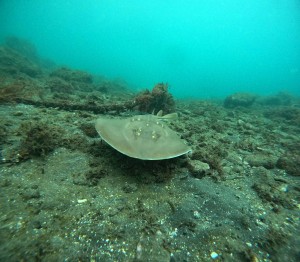 DCIM100GOPROGOPR4829.JPG