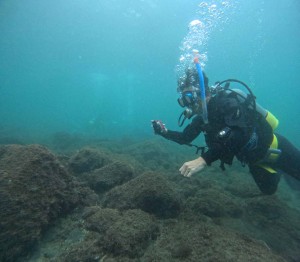 DCIM100GOPROGOPR4834.JPG