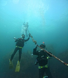 DCIM100GOPROGOPR4839.JPG