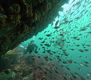 DCIM100GOPROGOPR4840.JPG