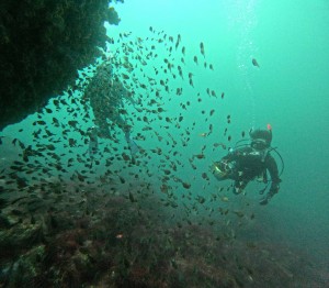 DCIM100GOPROGOPR4841.JPG