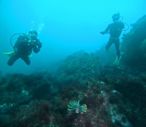 DCIM100GOPROGOPR4842.JPG