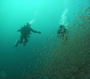 DCIM100GOPROGOPR4848.JPG