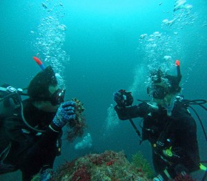 DCIM100GOPROGOPR4856.JPG