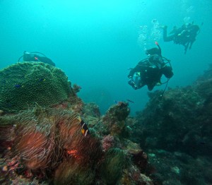 DCIM100GOPROGOPR4863.JPG