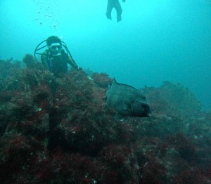DCIM100GOPROGOPR4888.JPG