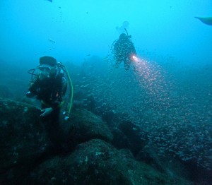 DCIM100GOPROGOPR4889.JPG