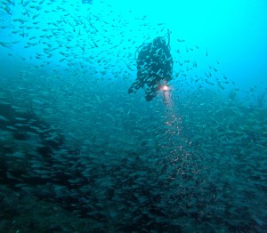 DCIM100GOPROGOPR4890.JPG