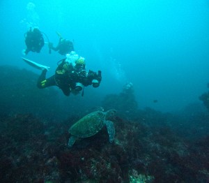 DCIM100GOPROGOPR4897.JPG
