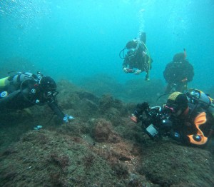 DCIM100GOPROGOPR4908.JPG