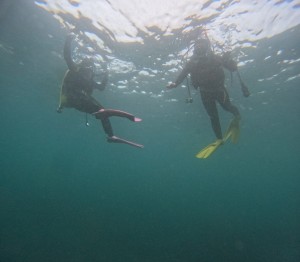 DCIM100GOPROGOPR4917.JPG