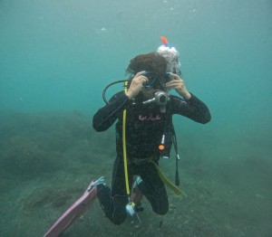 DCIM100GOPROGOPR4943.JPG