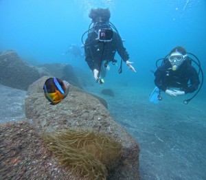 DCIM100GOPROGOPR4974.JPG