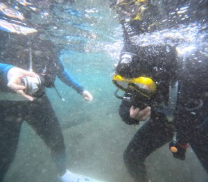 DCIM100GOPROGOPR5180.JPG