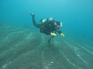 DCIM100GOPROGOPR5203.JPG