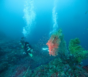 GOPR5217