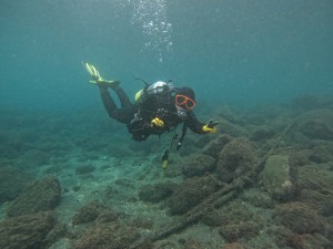 DCIM100GOPROGOPR5227.JPG