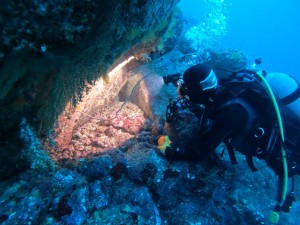 DCIM100GOPROGOPR5230.JPG
