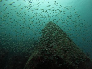 DCIM100GOPROGOPR5235.JPG