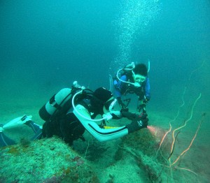 DCIM100GOPROGOPR5241.JPG