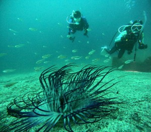 DCIM100GOPROGOPR5242.JPG